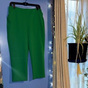 💚✅🐸🌿Rachel Zoe Vibrant Green Cropped Pants